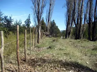 Excelente Finca de 27Has sobre asfalto con cabaña, arroyo y manantial foto 4