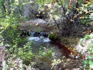 Excelente Finca de 27Has sobre asfalto con cabaña, arroyo y manantial foto 5