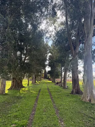 Excelente Chacra en Altamirano foto 3