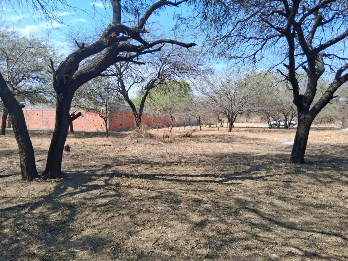 LOTE EN VENTA- ZONA BARRIO LOS FLORES foto 2