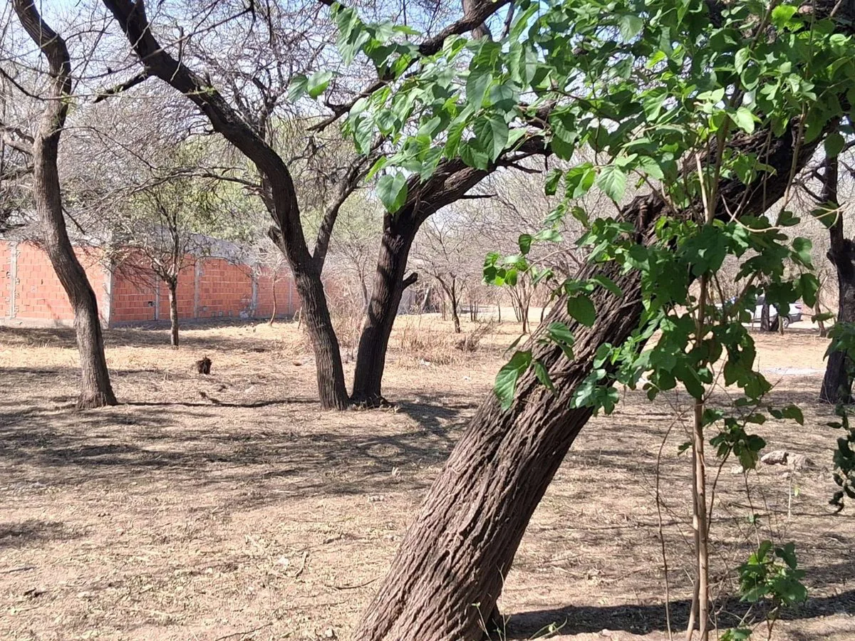 LOTE EN VENTA- ZONA BARRIO LOS FLORES foto 3