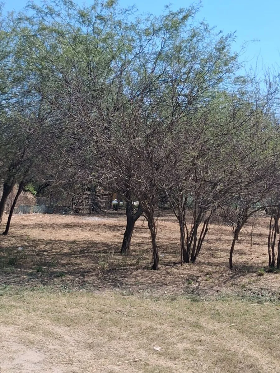 LOTE EN VENTA- ZONA BARRIO LOS FLORES foto 5
