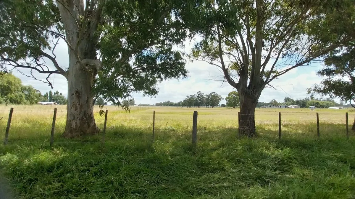 Alquiler de Campo de 11 hectáreas en El Casal foto 2