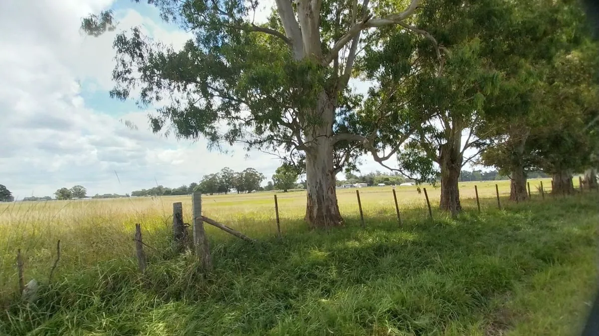 Alquiler de Campo de 11 hectáreas en El Casal foto 3