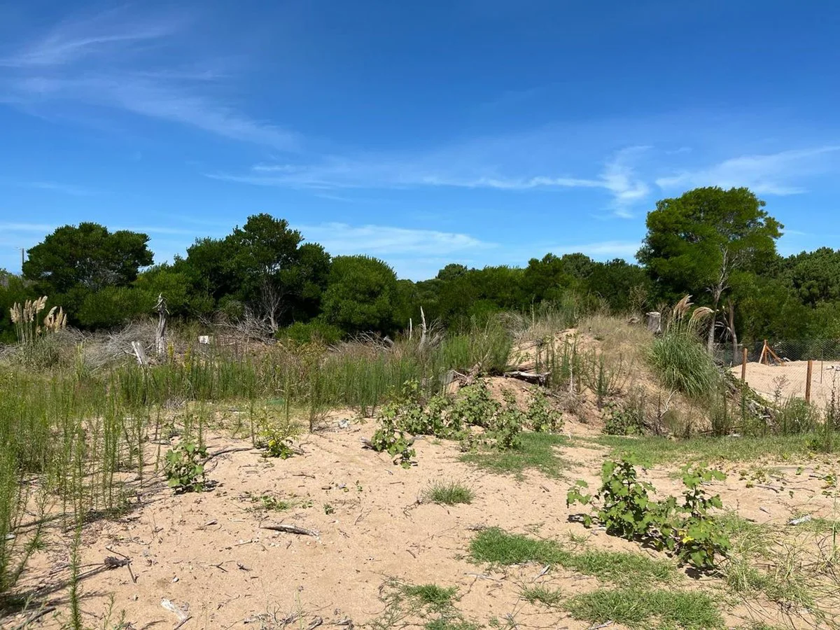 Lote en venta Costa Esmeralda  Senderos IV foto 5