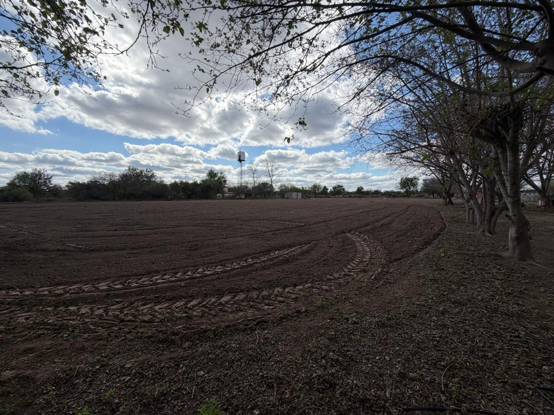 CHACRA EN VENTA - SILIPICA - 23 HECTAREAS foto 2
