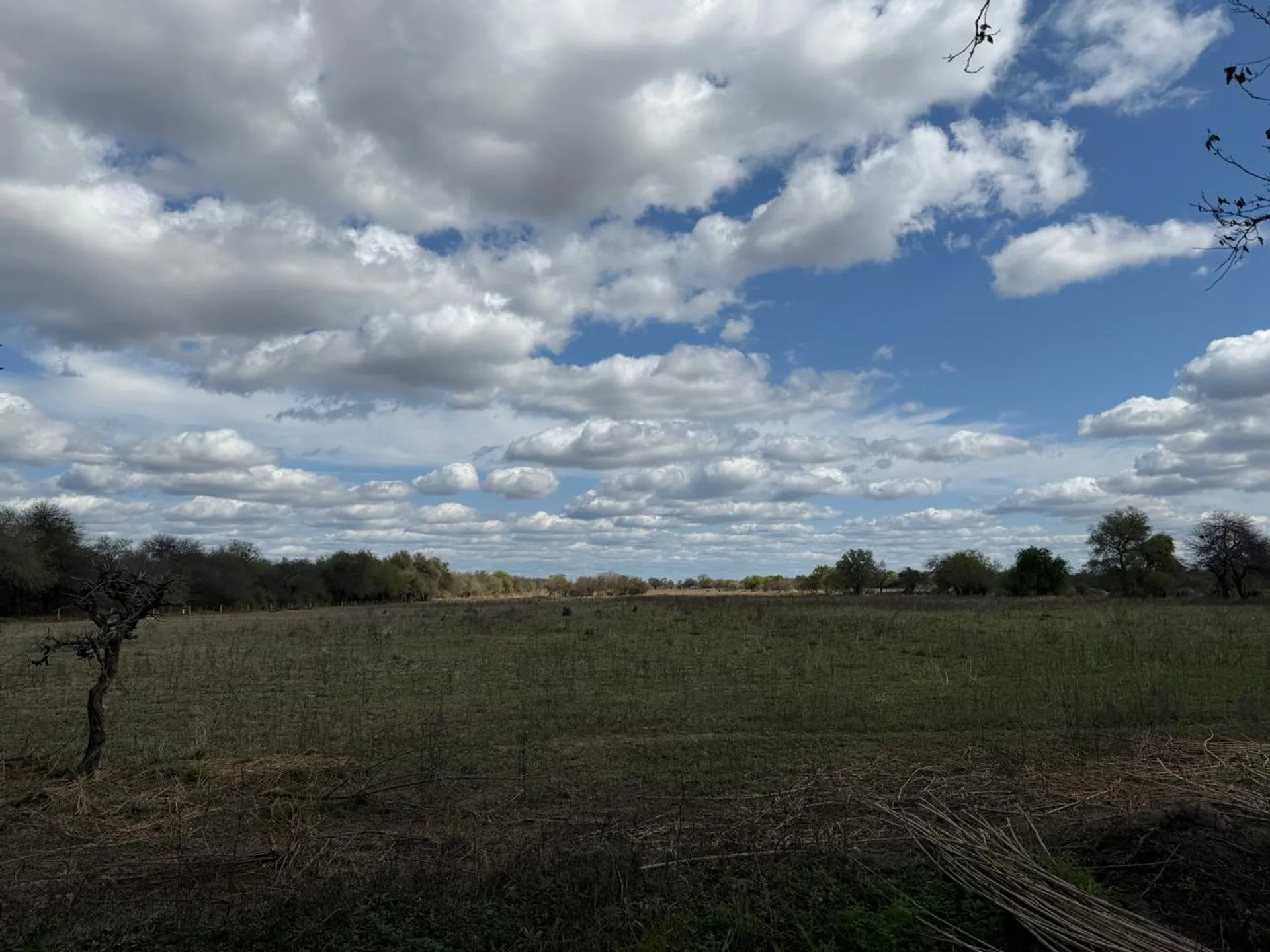 CHACRA EN VENTA - SILIPICA - 23 HECTAREAS foto 4