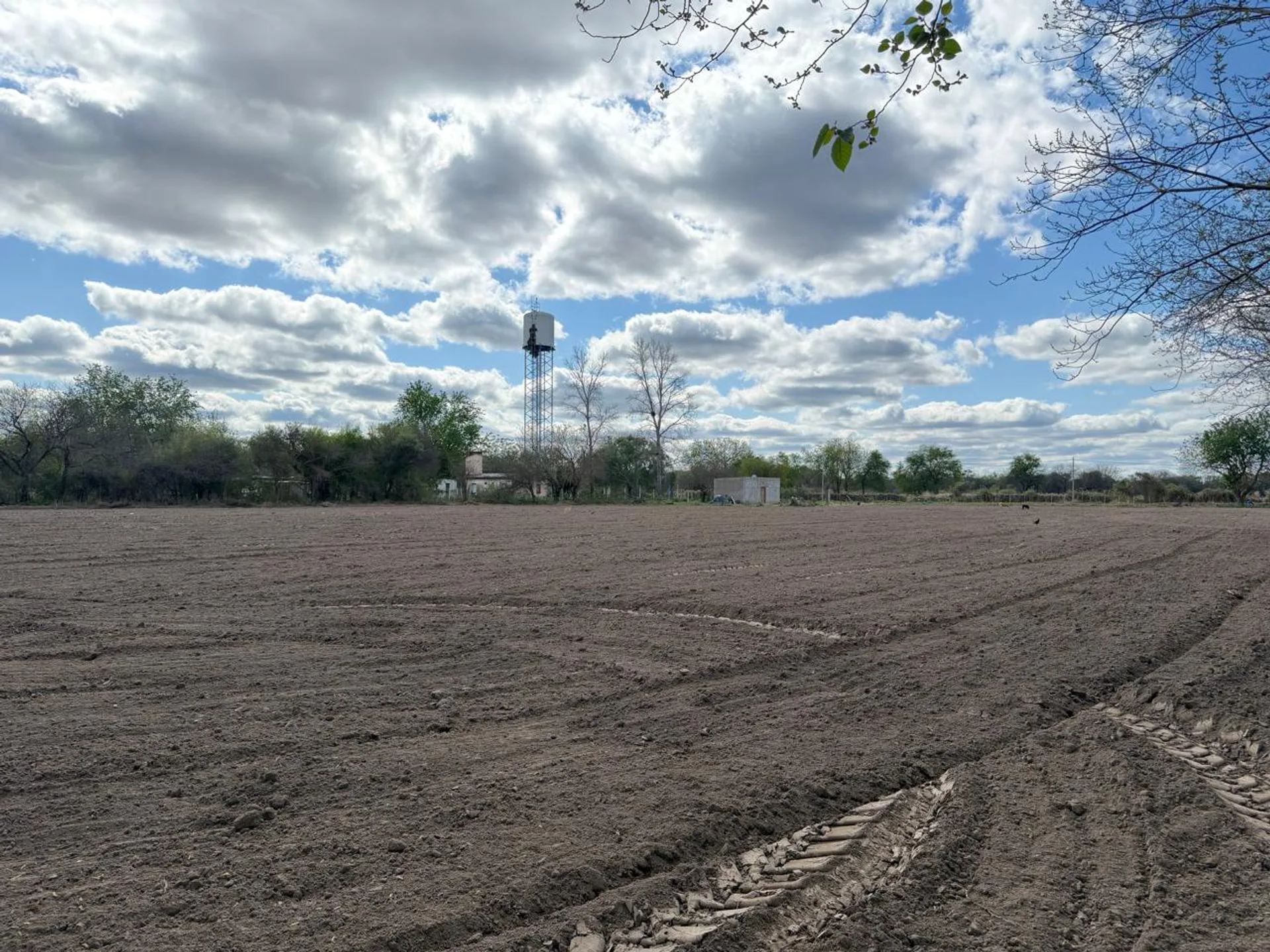CHACRA EN VENTA - SILIPICA - 23 HECTAREAS foto 5