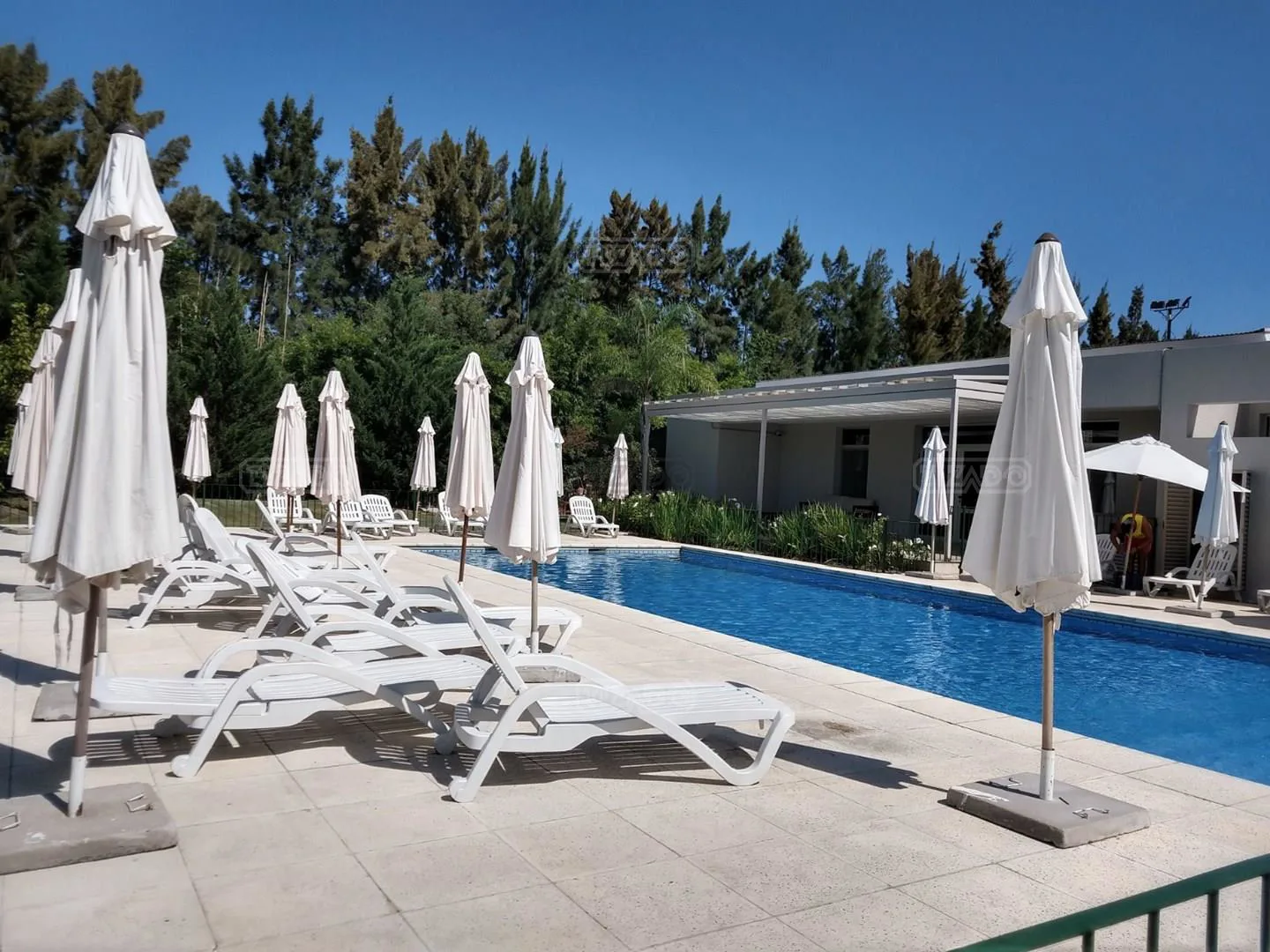 LOTE EN ALISOS foto 4