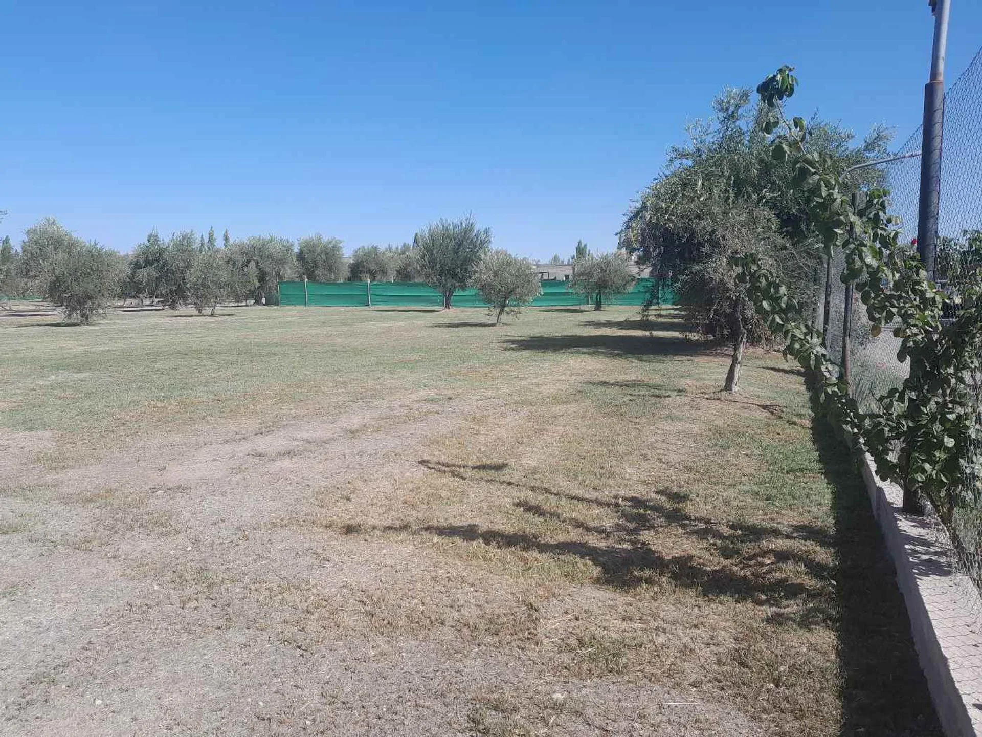 Lote en venta en Barrio Olivos de Furlotti, Maipú foto 2