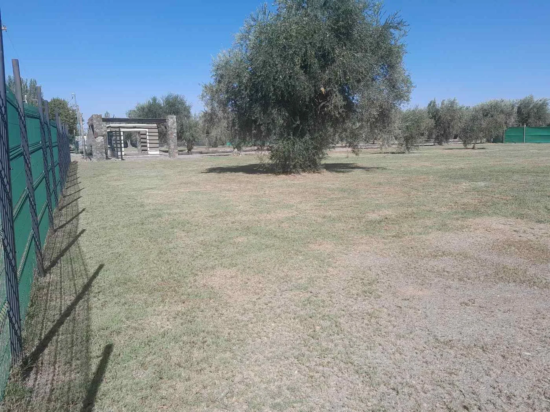 Lote en venta en Barrio Olivos de Furlotti, Maipú foto 3