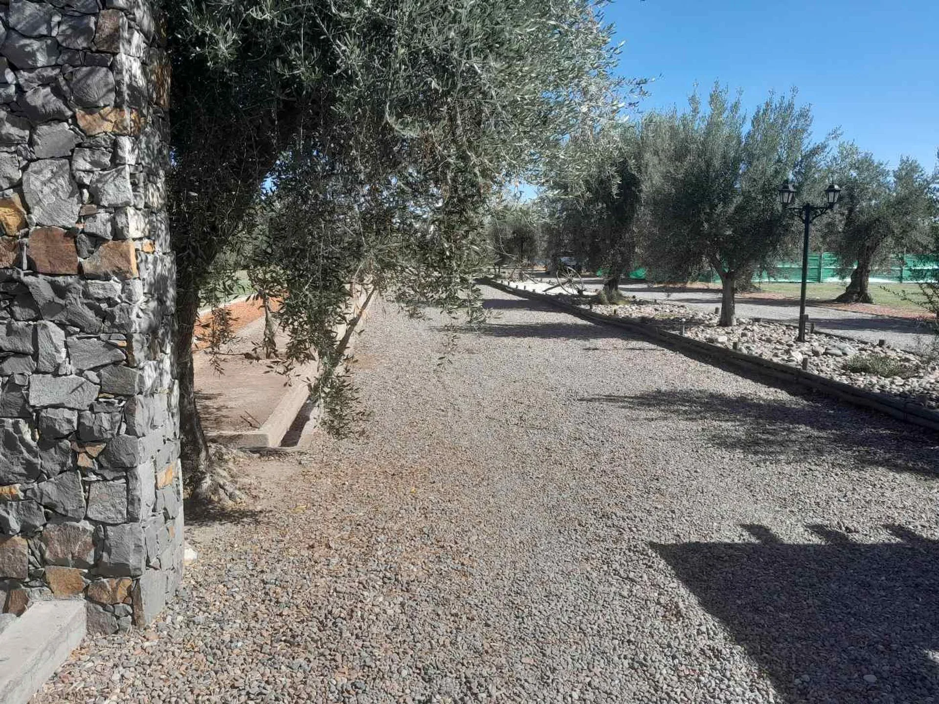 Lote en venta en Barrio Olivos de Furlotti, Maipú foto 5