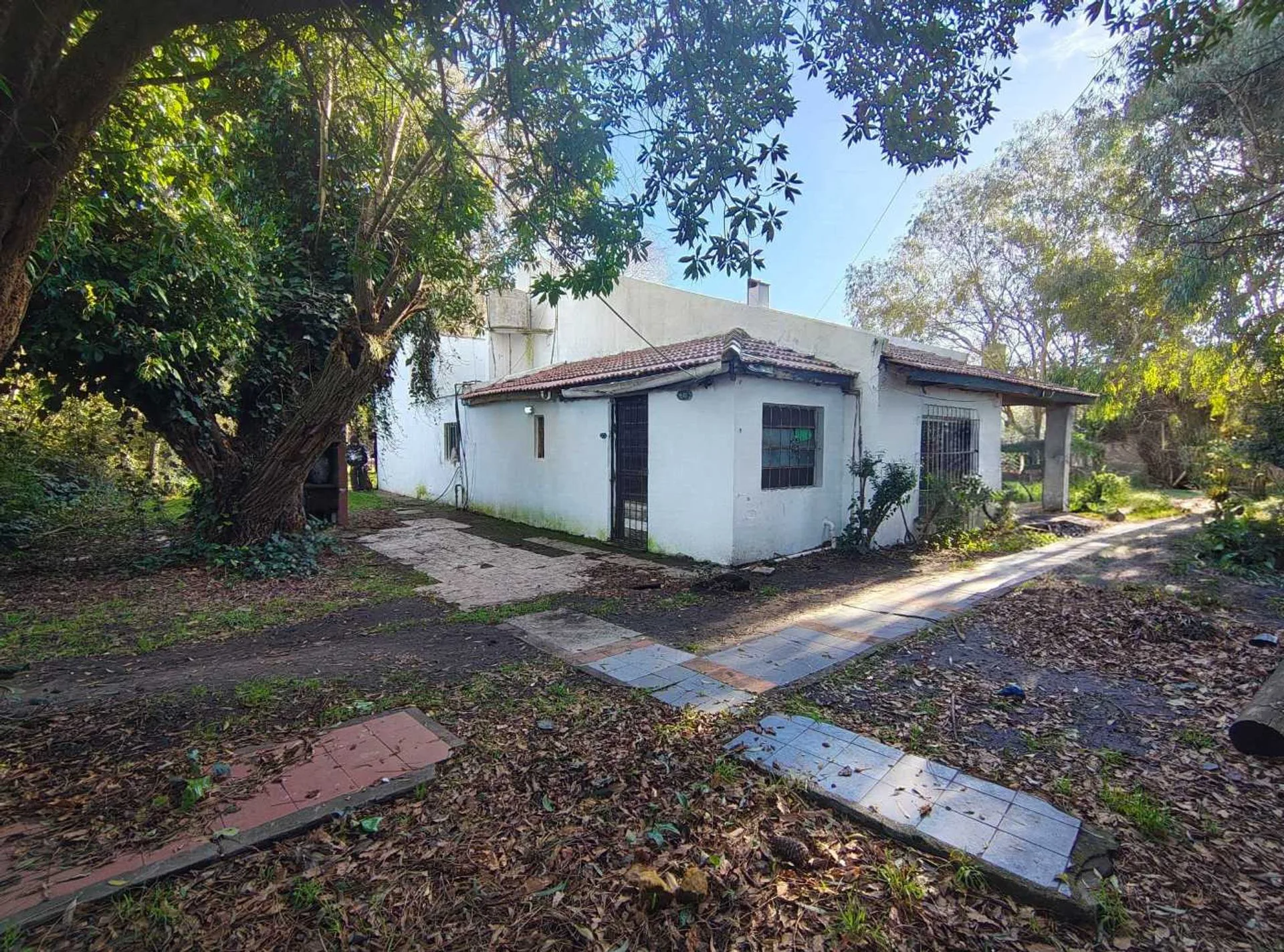 VENTA CASA 3 AMBIENTES A REFACCIONAR FELIX CAMET foto 3