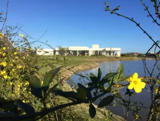 Horizontes al Sur - Lote: 201 foto 3