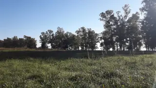 CAMPO 309 HECTAREAS EN CADRET CARLOS CASARES foto 5