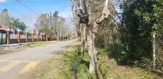 FRACCION de 3724 mts en calle Reconquista - Dique Lujan foto 3