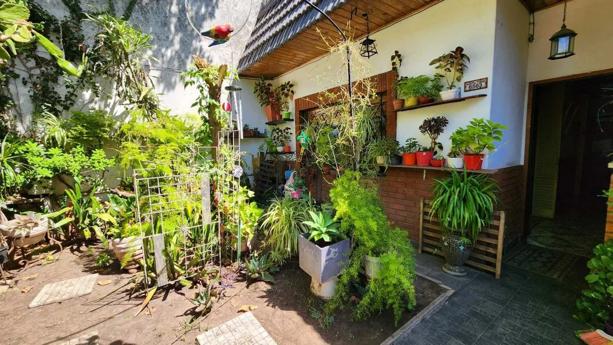 VENTA CASA 4 AMBIENTES A REFACCIONAR EN VERSALLES foto 2