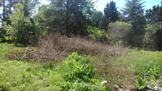 DISPONEMOS HECTÁREAS P/ LOTEO . EMPREND. BARRIOS CERRADOS C/PREFACT. DISTINTAS Z/ RESID. NOVOA PROPIEDADES foto 2