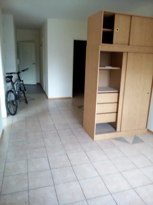 DEPTO EN TIGRE MONOAMBIENTE AMPLIO COCINA SEPARADA. COMPLEJO CON PISICINA TIGRE. MAIPU 313