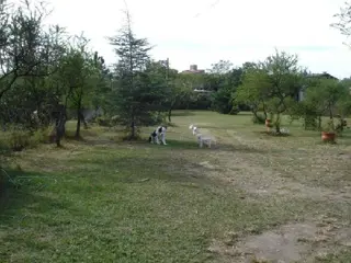 Terreno en Venta en Villa la Bolsa, Santa María, Córdoba foto 5