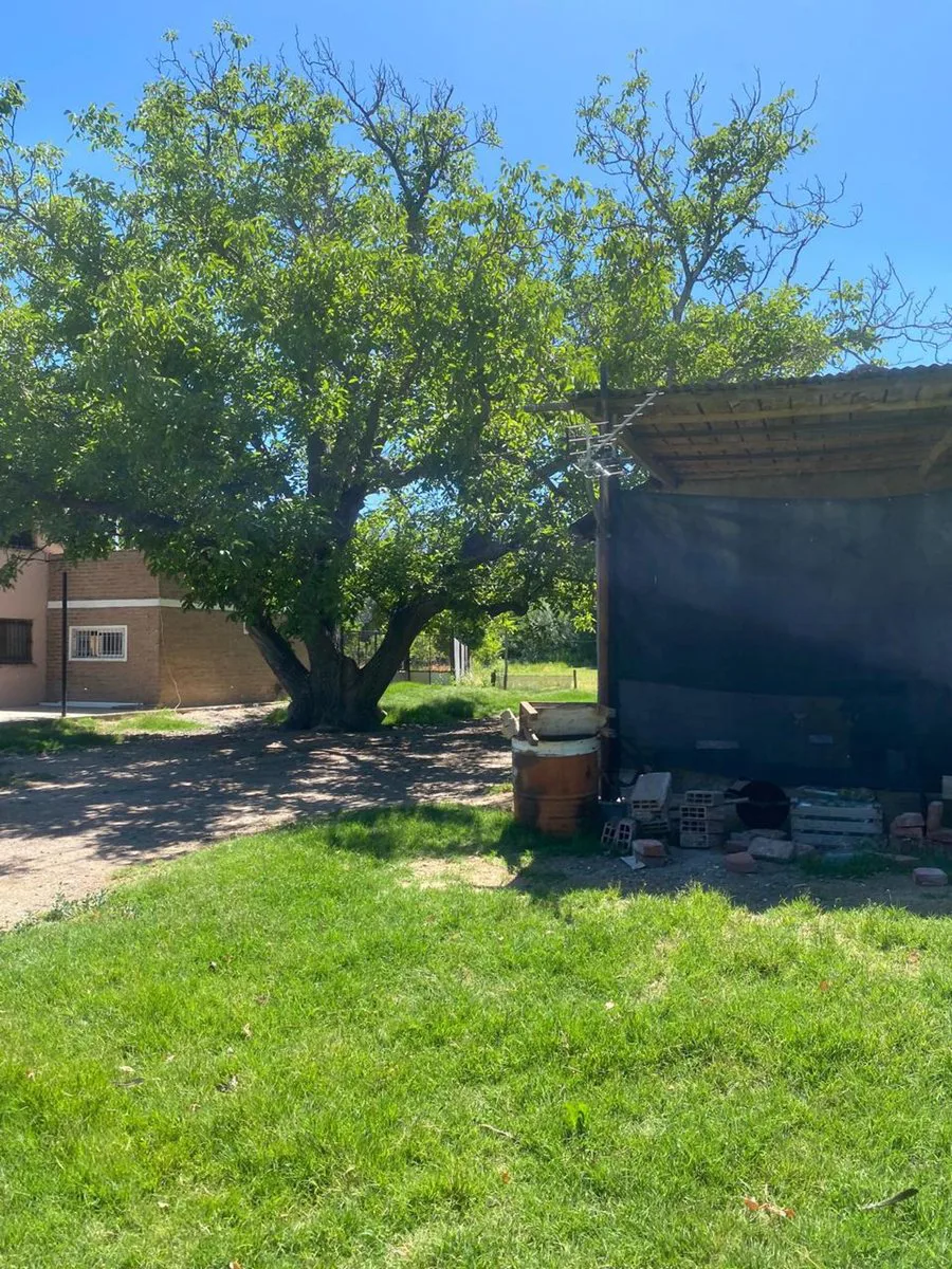 Venta de fracción de chacra – Cinco Saltos
