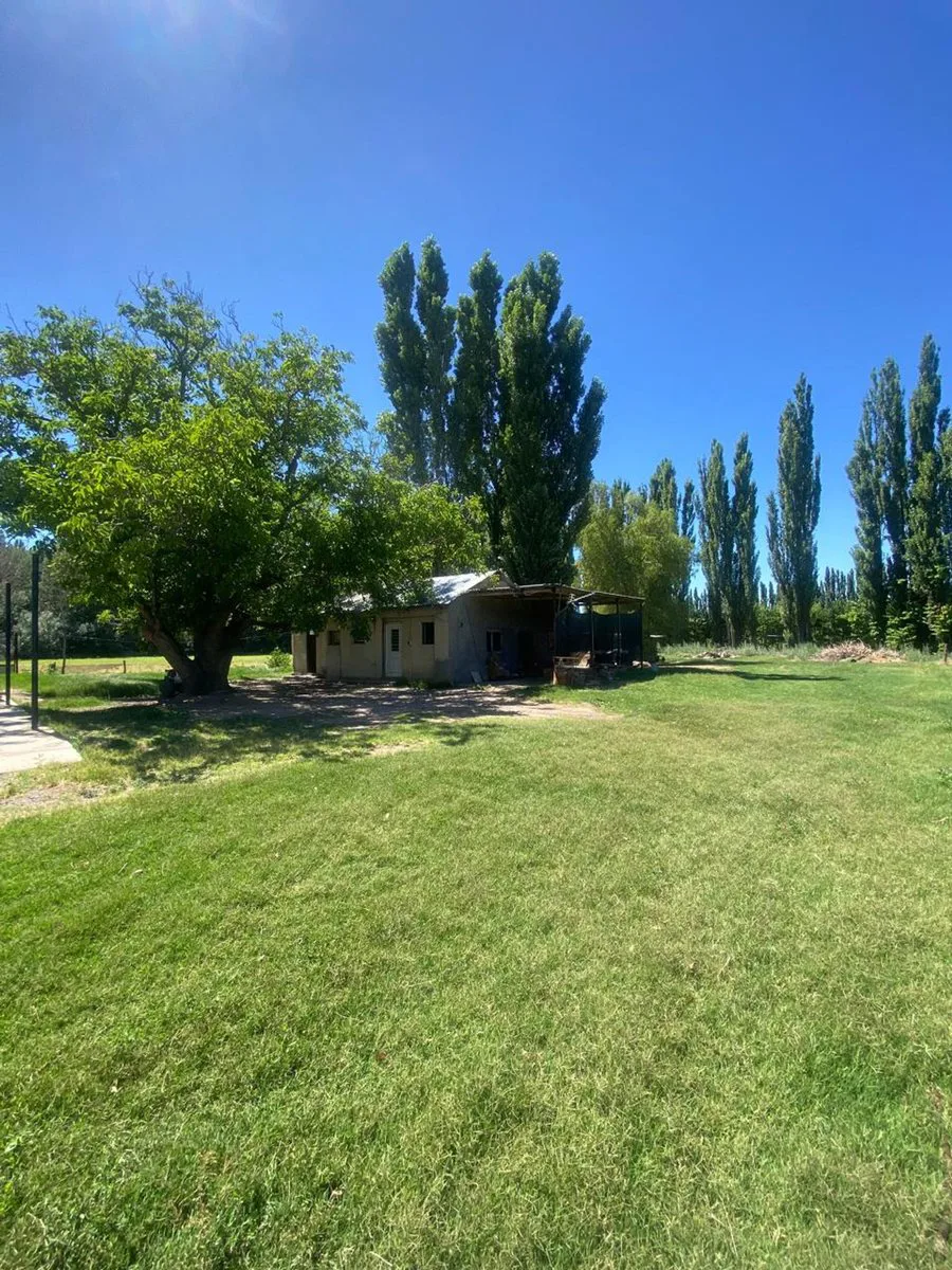 Venta de fracción de chacra – Cinco Saltos foto 3