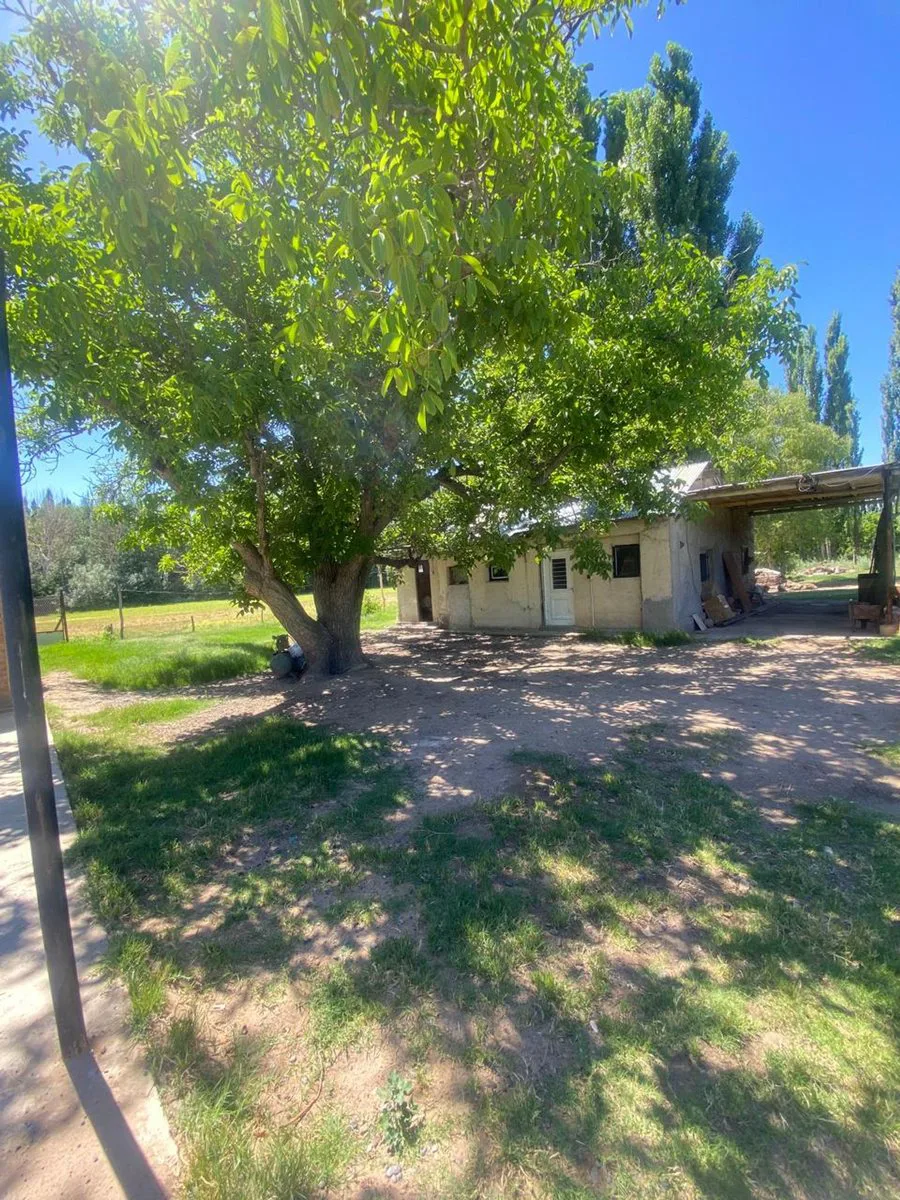 Venta de fracción de chacra – Cinco Saltos foto 4