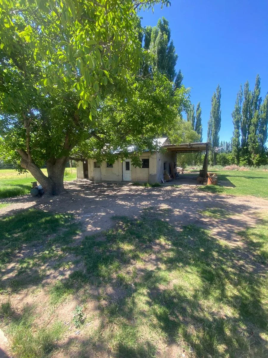 Venta de fracción de chacra – Cinco Saltos foto 5