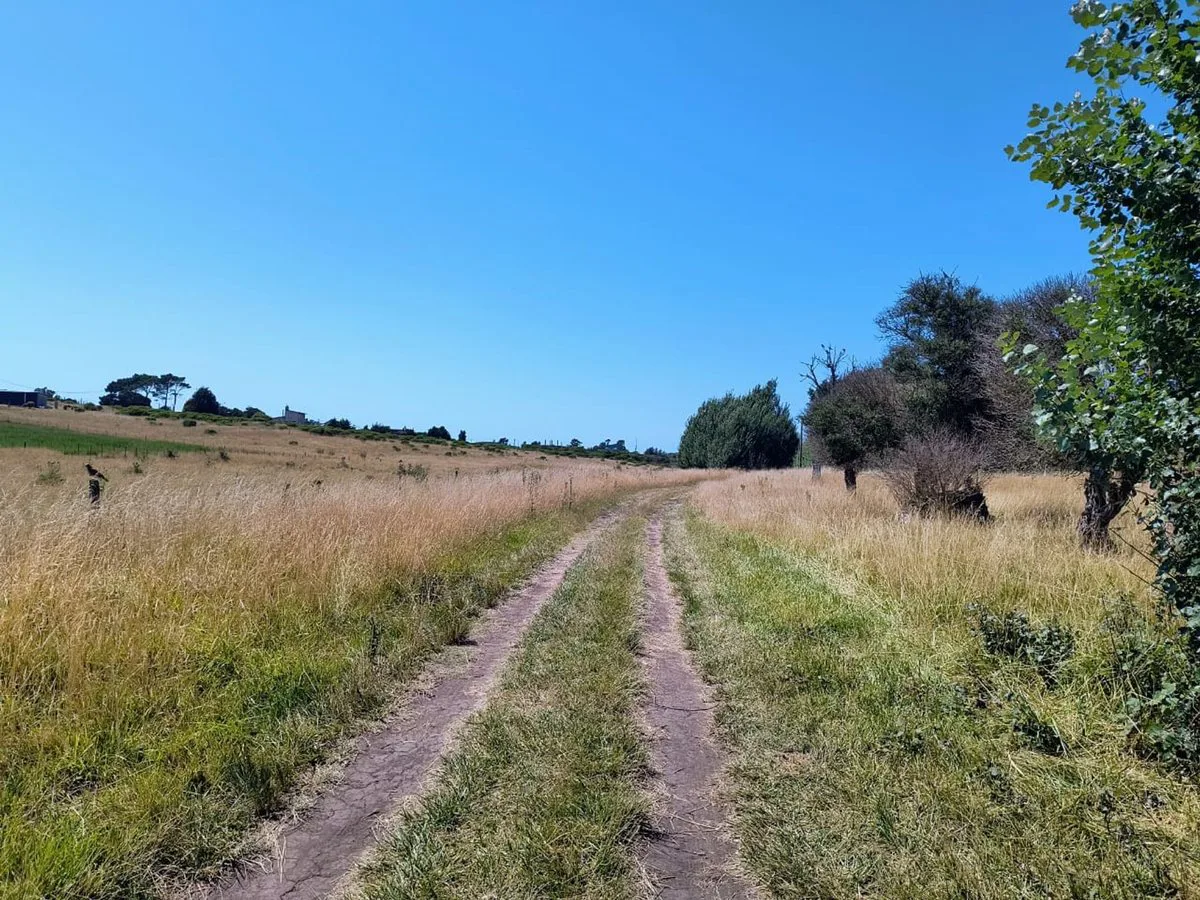VENTA DE DOS LOTES EN SAN EDUARDO DE CHAPADMALAL foto 5