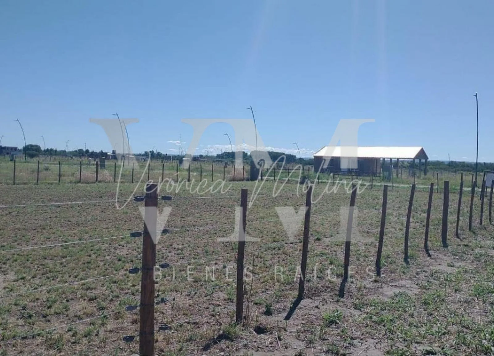Lote en San Luis foto 3