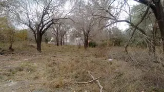 HERMOSO LOTE EN VILLA RIVERA INDARTE CON ESCRITURA INMEDIATA foto 2