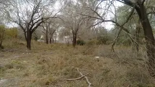 HERMOSO LOTE EN VILLA RIVERA INDARTE CON ESCRITURA INMEDIATA foto 3