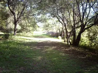 Terreno en Venta en Villa la Bolsa, Santa María, Córdoba foto 2