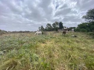 SE VENDE LOTE CAMINO A BALNEARIO EL CONDOR foto 4