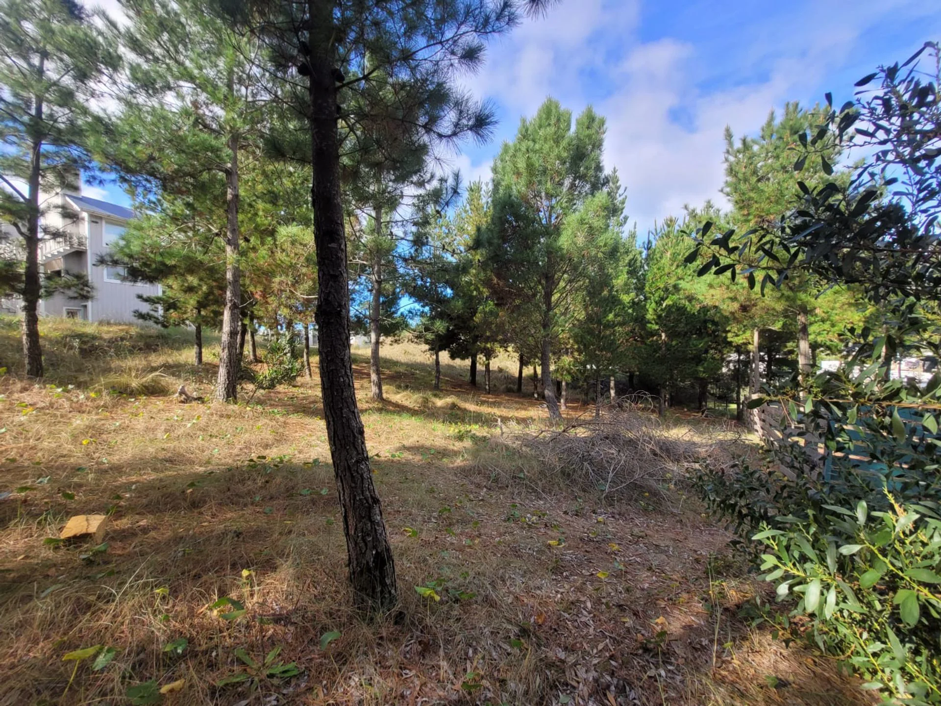 Venta Lote Costa Esmeralda foto 4