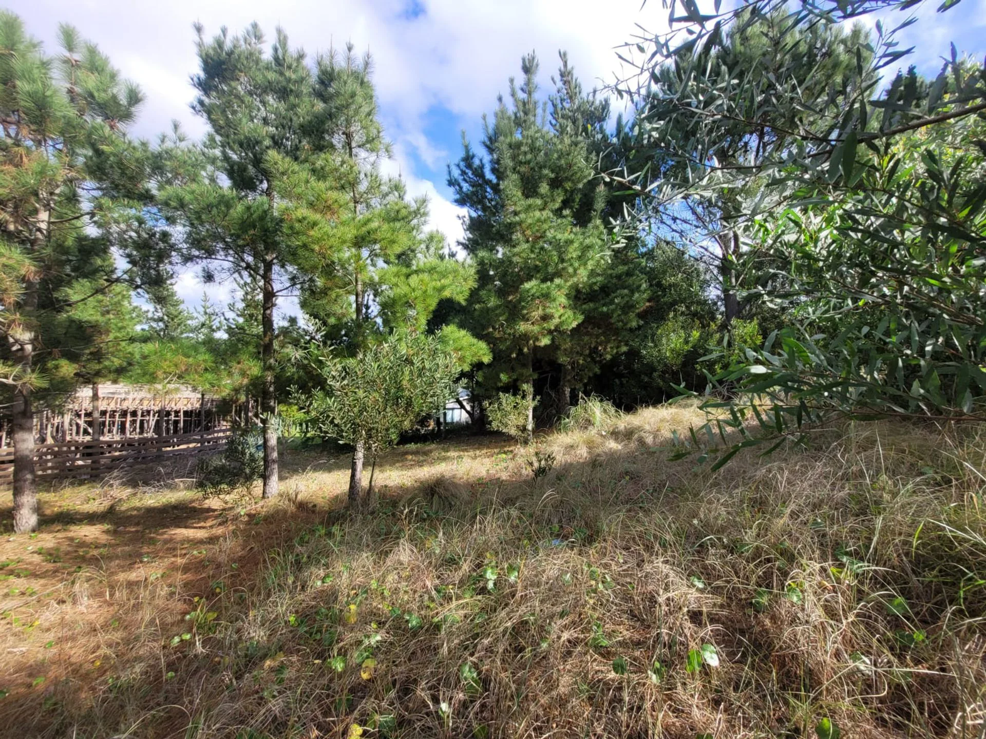 Venta Lote Costa Esmeralda foto 5