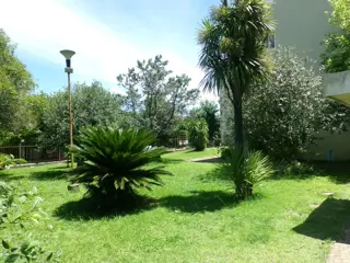 VENDO O PERMUTO AMPLIO DEPARTAMENTO foto 2