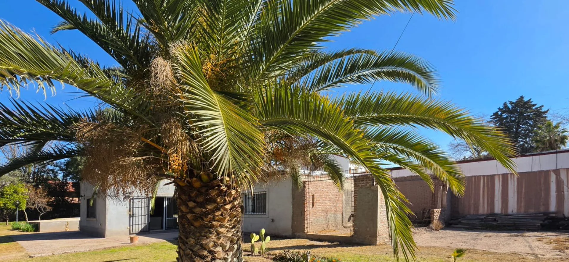Venta Casa con gran terreno en Chacras de Coria foto 2