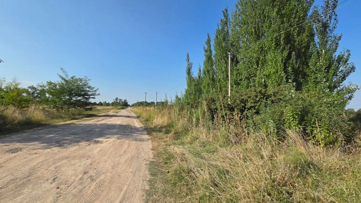 Terreno 1 Hectárea, Luján San Andrés de Giles BsAs foto 3
