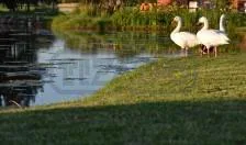 Haras San Pablo Club de Campo foto 2