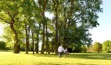 Haras San Pablo Club de Campo foto 5