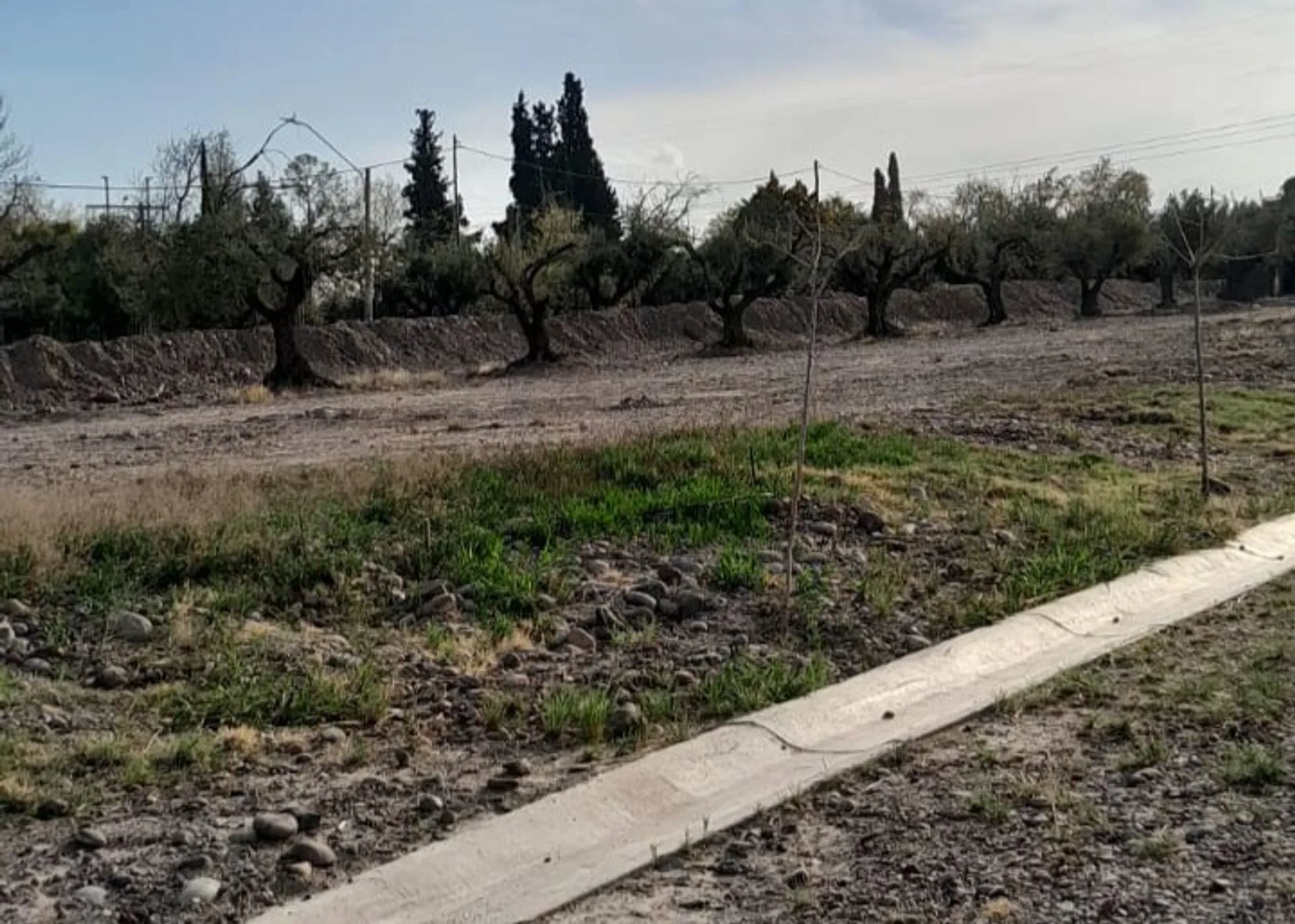 LOTE EN VENTA, BARRIO AMPROS VIII - MAIPU foto 5