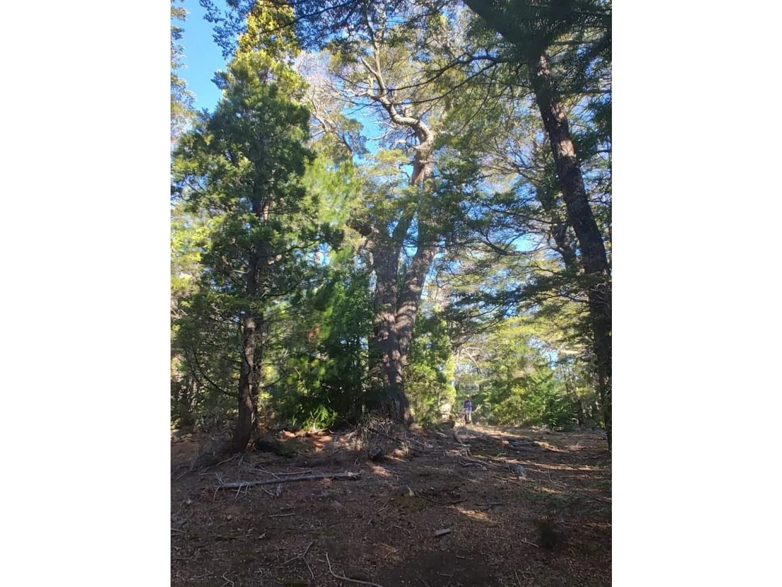 SE VENDE HERMOSO CAMPO