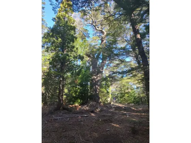 SE VENDE HERMOSO CAMPO