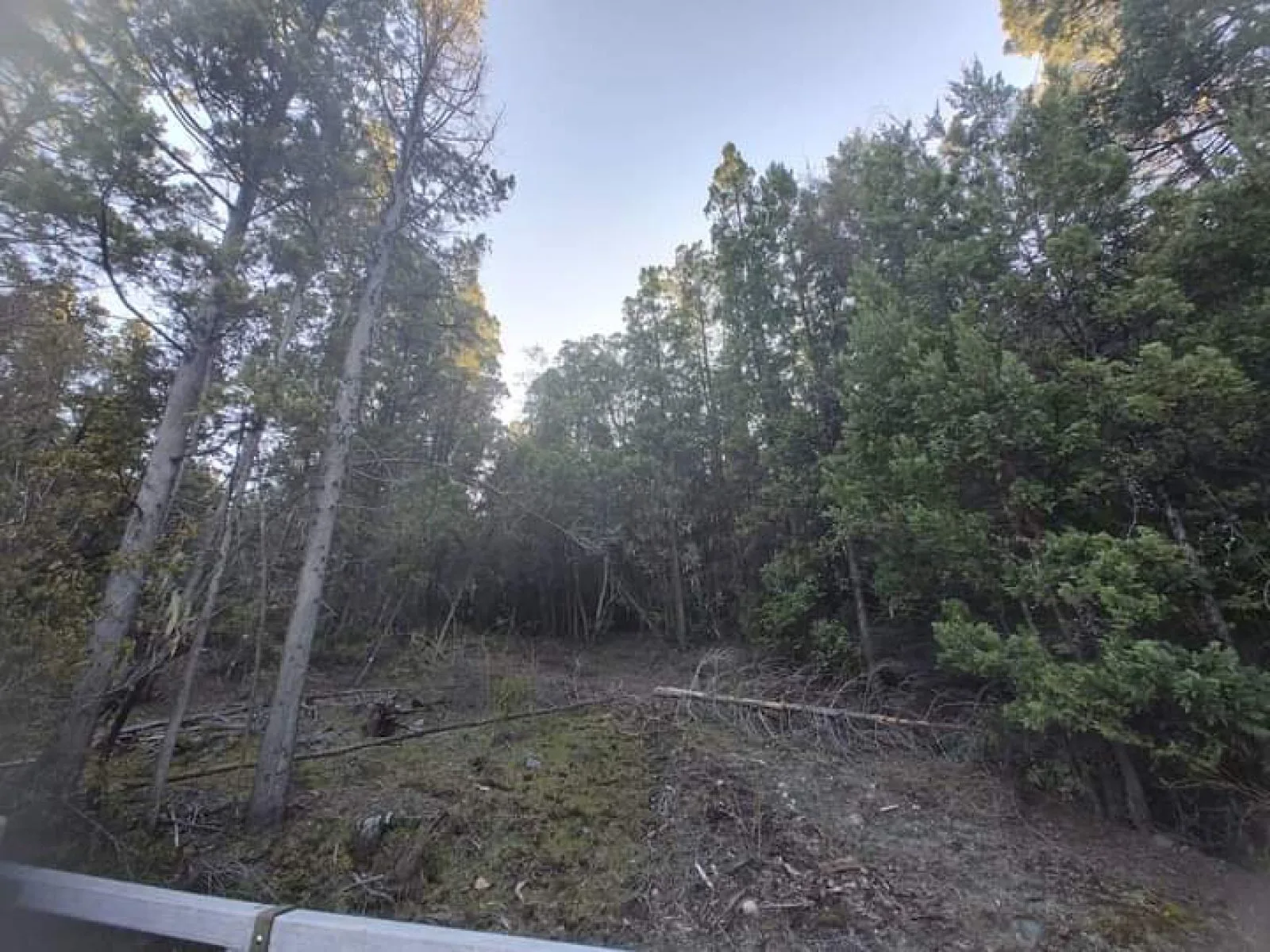 SE VENDE HERMOSO CAMPO foto 2