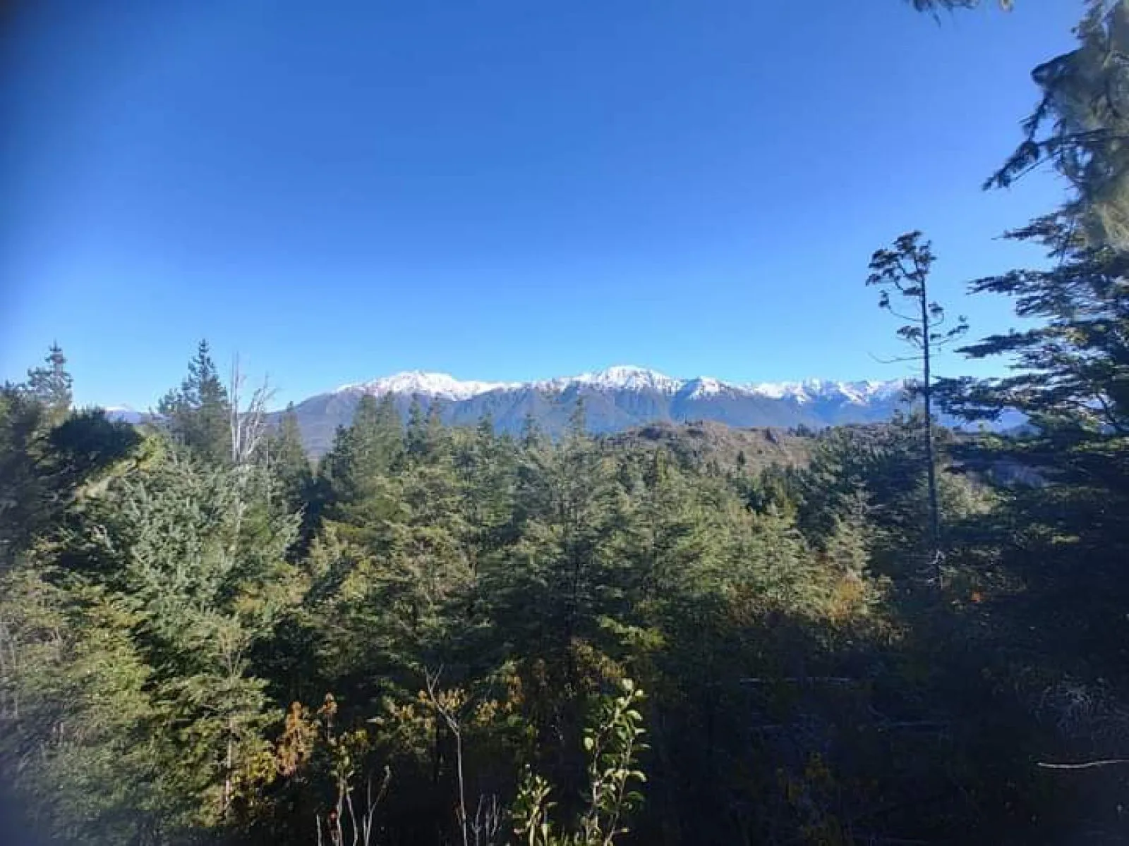 SE VENDE HERMOSO CAMPO foto 3