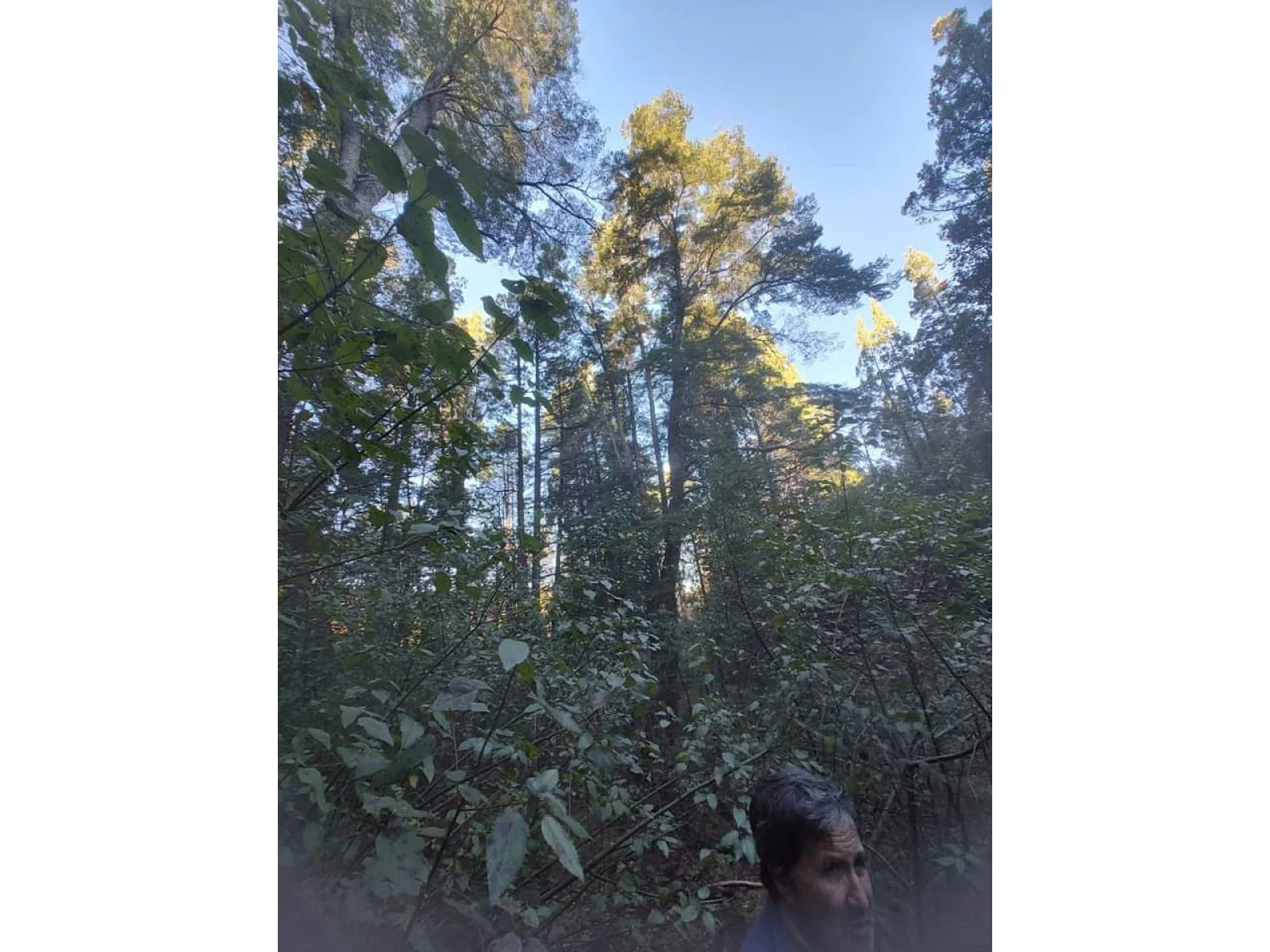 SE VENDE HERMOSO CAMPO foto 4