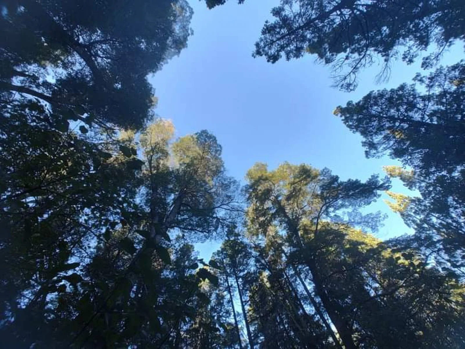 SE VENDE HERMOSO CAMPO foto 5
