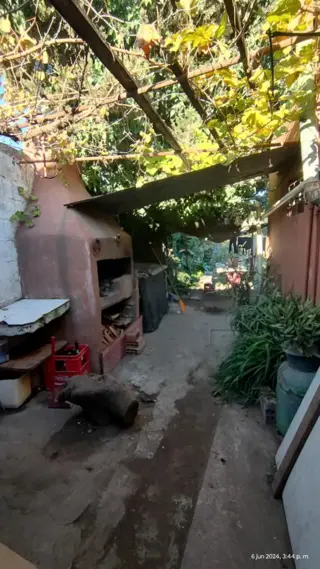 VENDO CASA EN QUEQUEN foto 5
