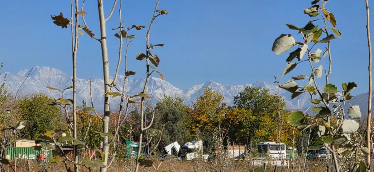 VENTA GRAN TERRENO APTO EMPRENDIMIENTO EN PERDRIEL foto 4